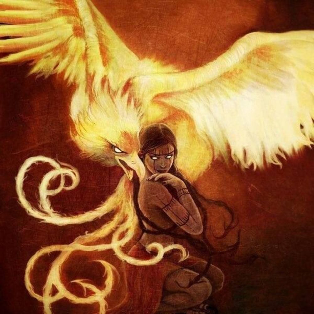 Meet your Posher, Chandra